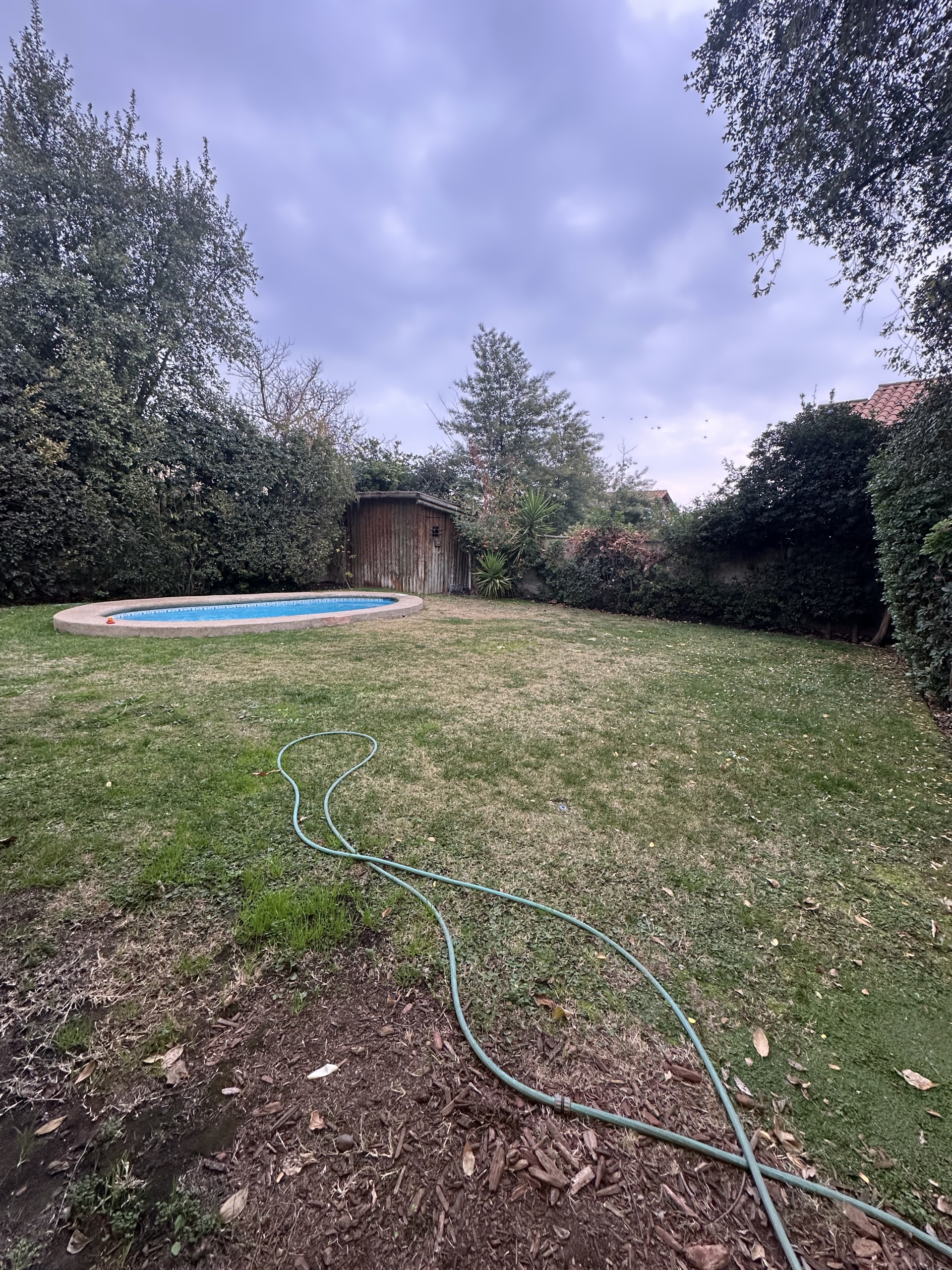 patio 1