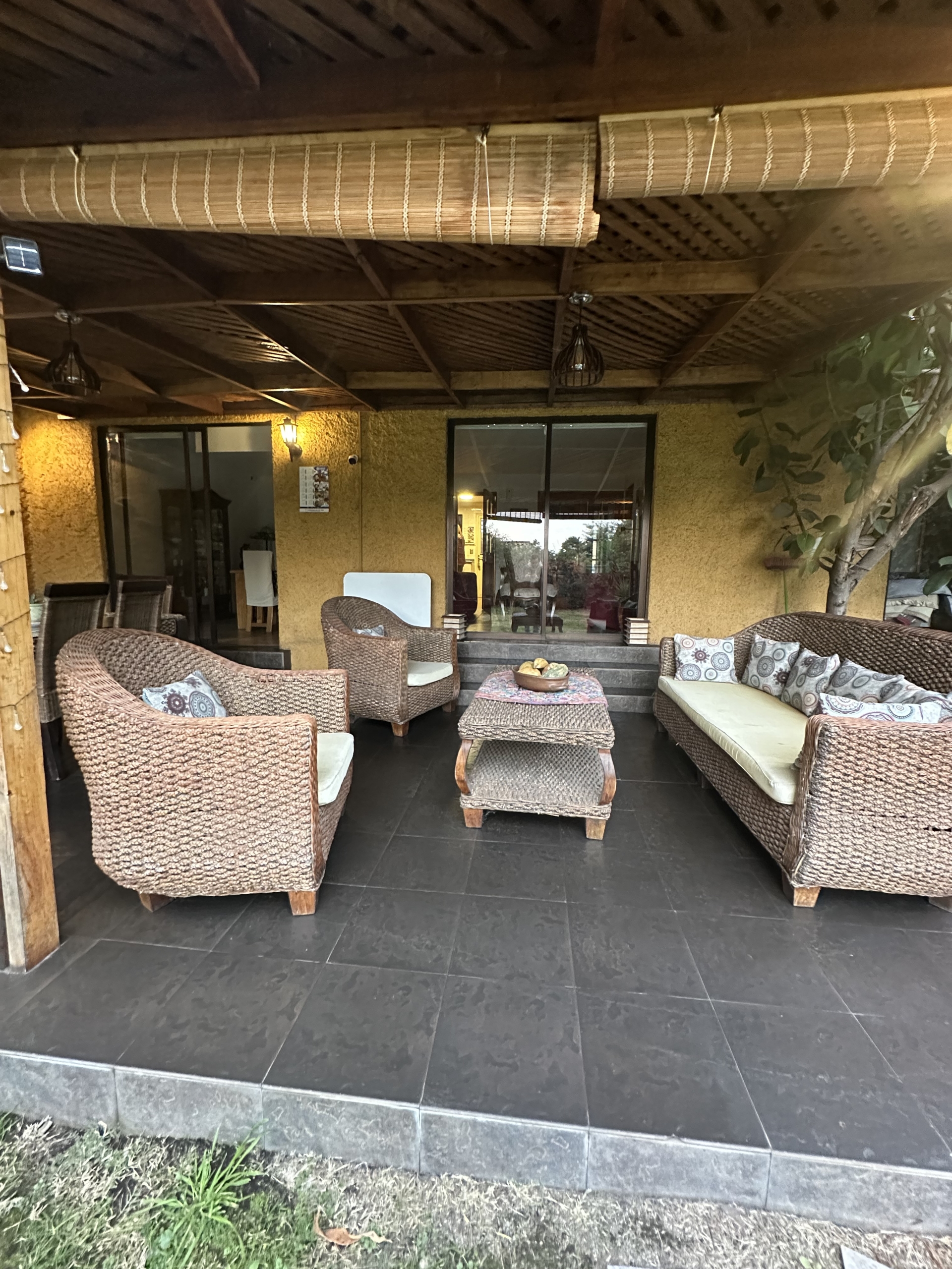 terraza 4