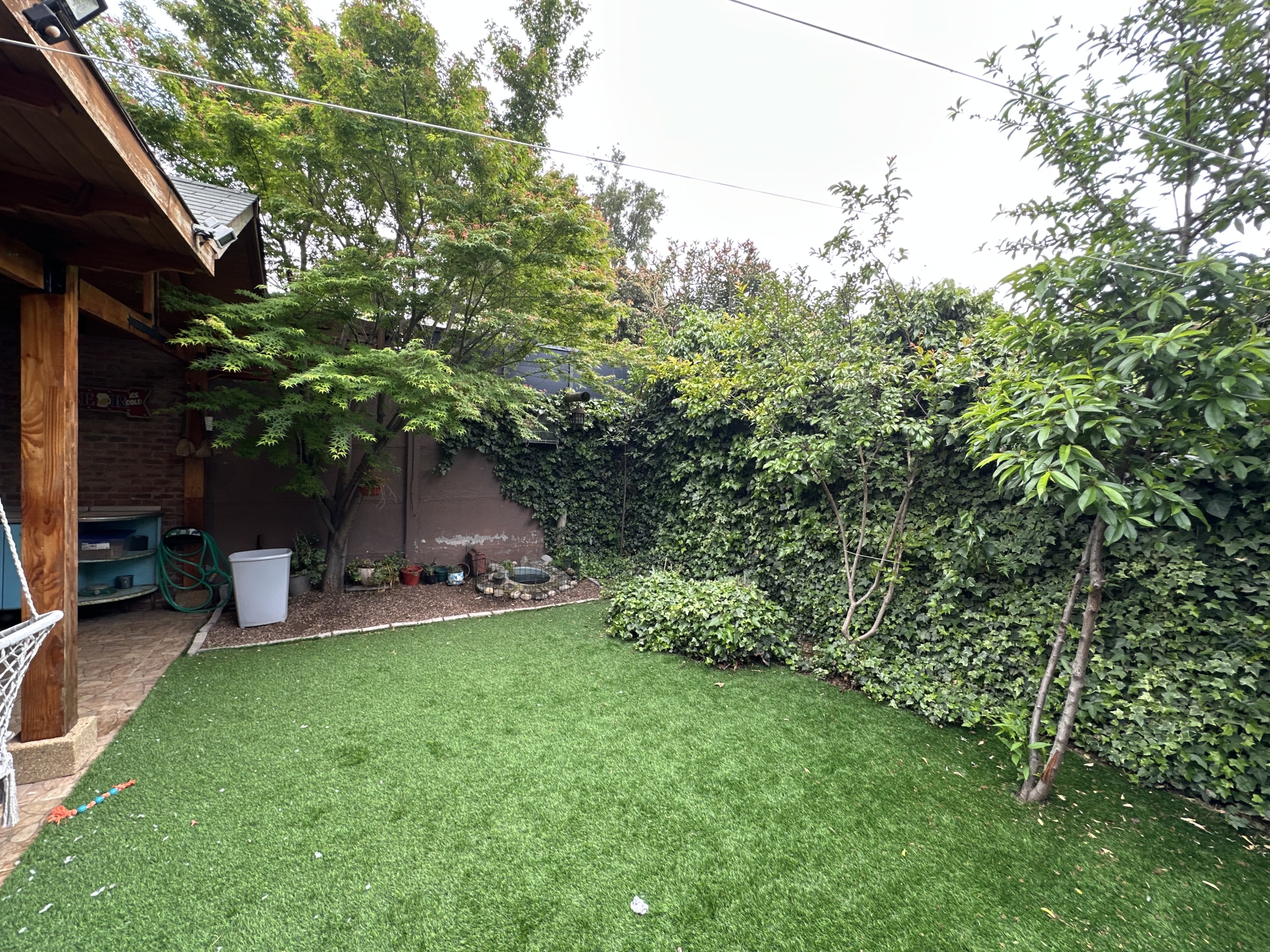 patio trasero 3